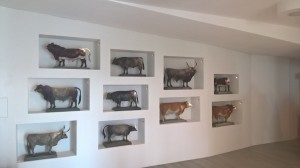 WP 20160124 11 18 55 Pro