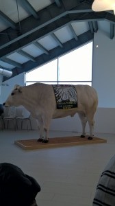 WP 20160124 12 09 51 Pro