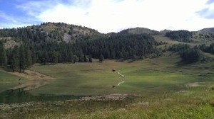 WP 20160731 11 03 34 Pro