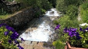 WP 20160731 15 32 51 Pro