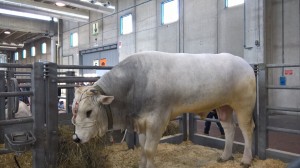 WP 20160206 11 48 57 Pro