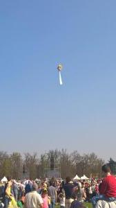 WP 20170325 14 43 19 Pro